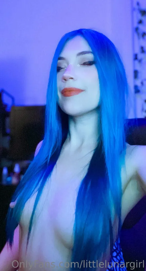 Littlelune model portfolio