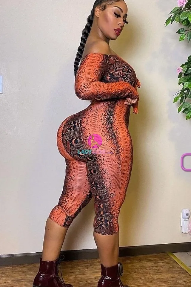 MissDriDri model portfolio