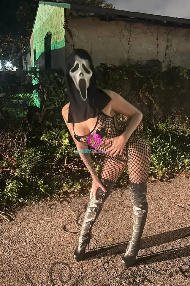 Hisdarkr0se model portfolio