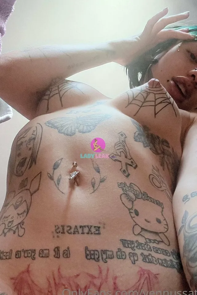 Vennussativavip model portfolio